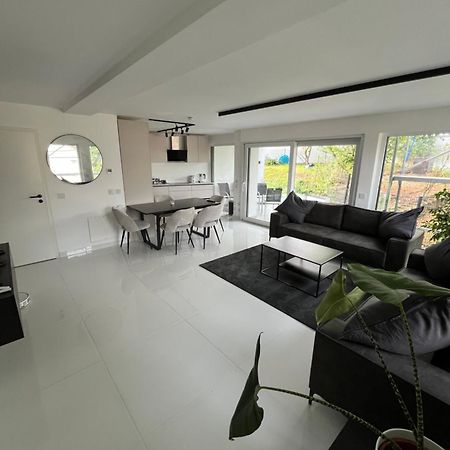 2 Moderne Wohnung Nahe Museum Sinsheim Exteriér fotografie