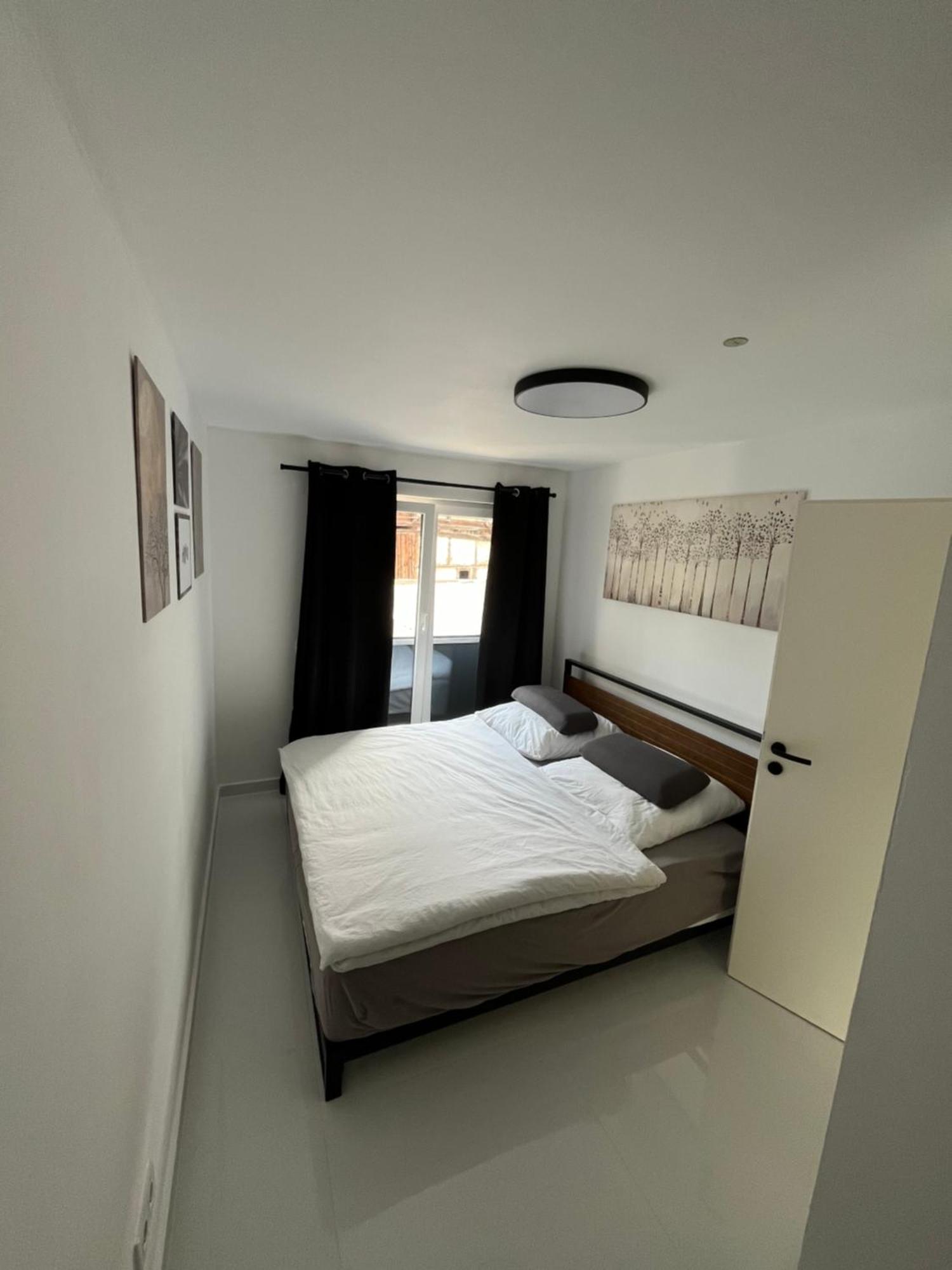 2 Moderne Wohnung Nahe Museum Sinsheim Exteriér fotografie